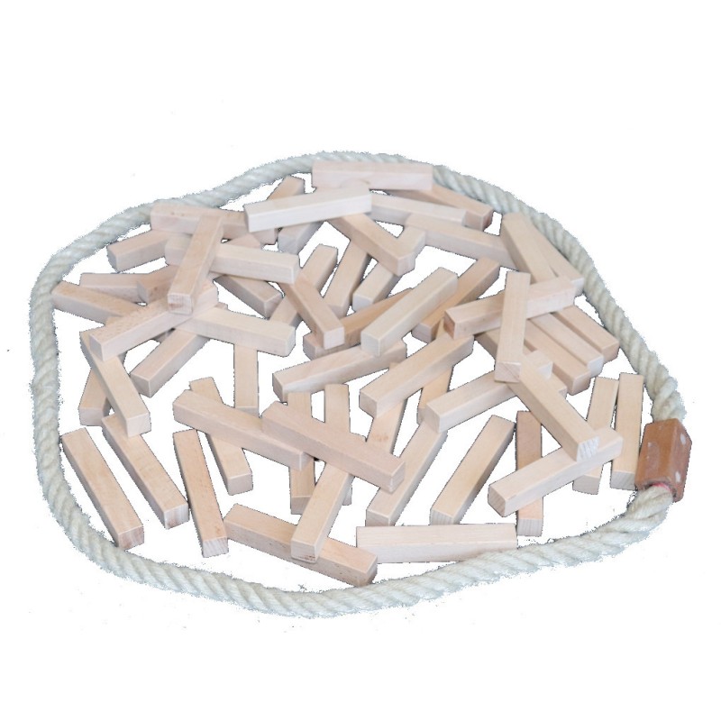 Tasso, un jeu de réflexion et de placement 2 à 4 joueurs.