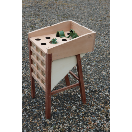 Jeu de la grenouille - Concept Bois et jeux